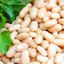 Fagioli cannelini