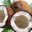 Coconut Juice Drink 250ml