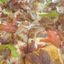 19. pizza  Γύρος *Small26cm   - Large33cm    10,0€*