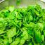 Spinach