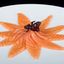 98 CARPACCIO SALMONE