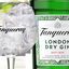 Tanqueray
