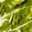 PALAK PANEER | ΛΑΧΑΝΙΚΑ “PALAK PANEER” Full