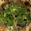Truffle Mushroom Magic (V)