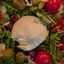 Burrata Salad