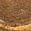 Brigadeiro de Avelã